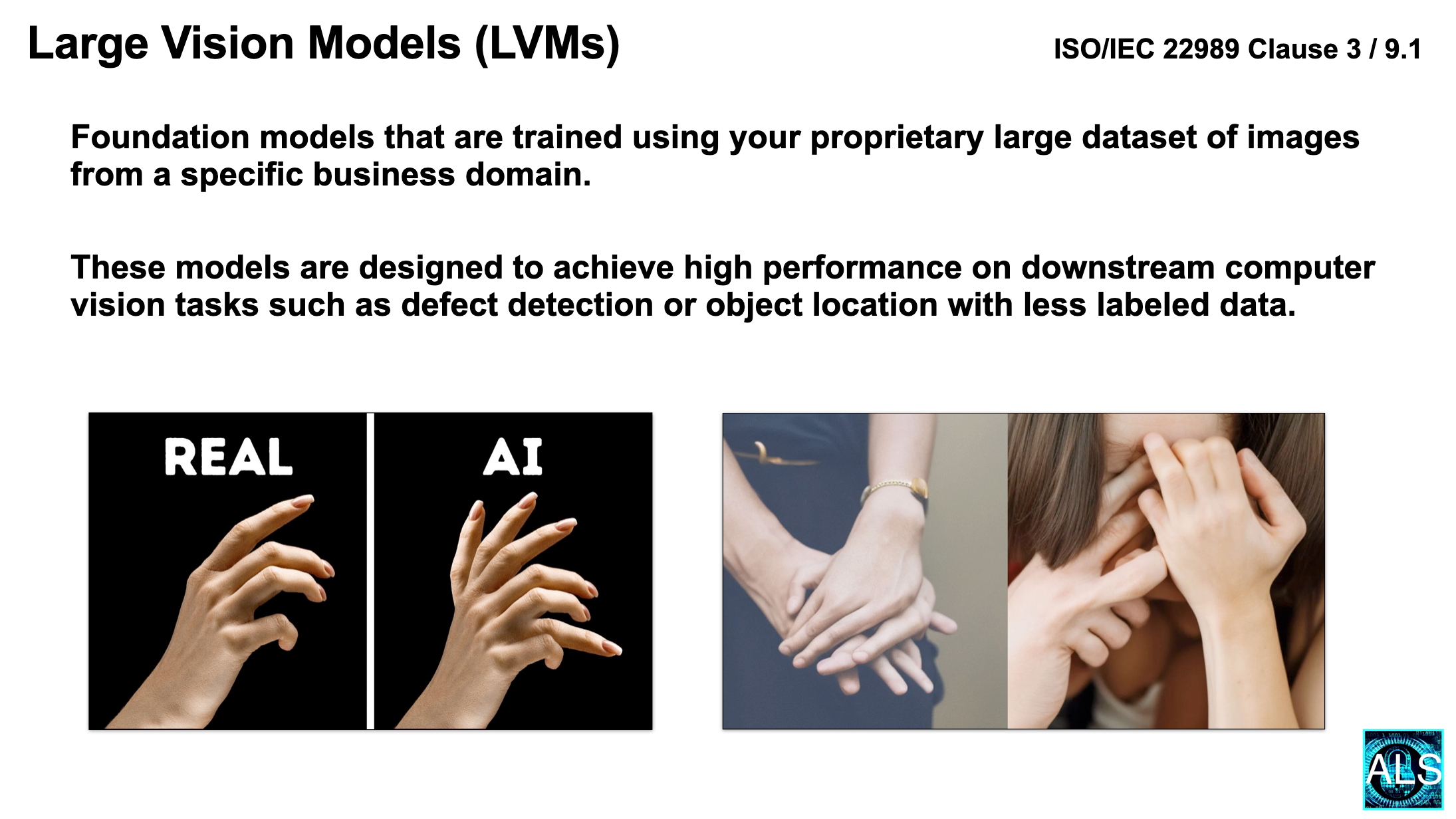 Large Vision Models (LVM) for AI image recognition